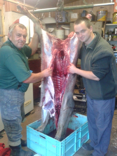 s jozkom pri cervenej robote