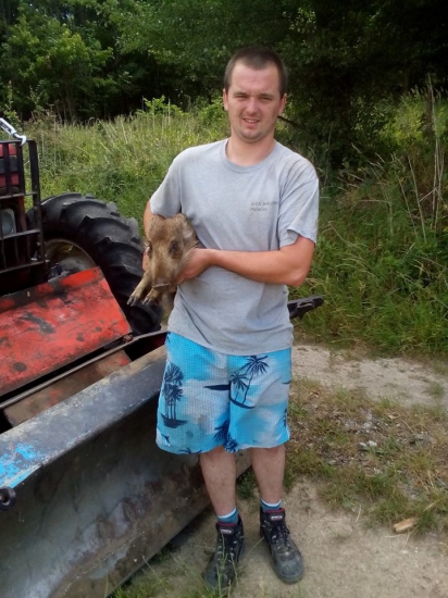 zatulane diviaca v praci