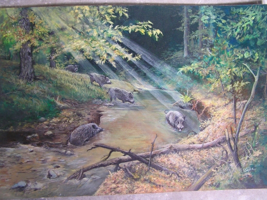 Návštěva u potoka