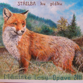 Terč