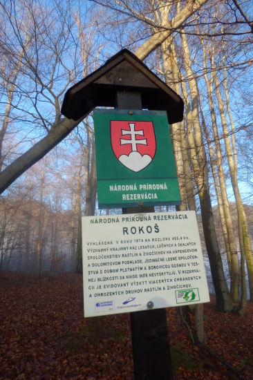 prírodná rezervácia Rokoš