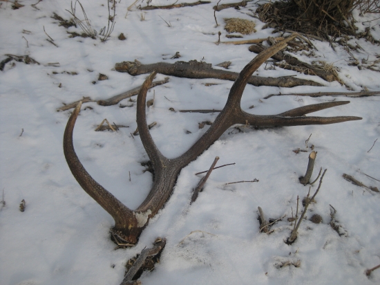 Dnesny Prvy iny pohlad