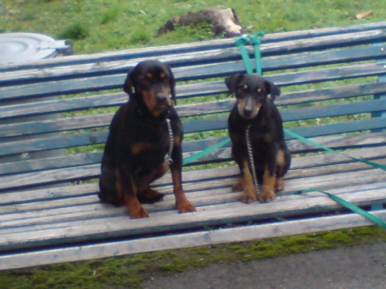 Kde ten náš gazda toľko je???