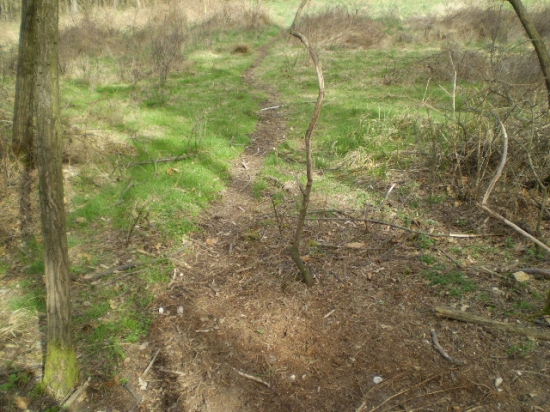 Pobytové znaky zveri 2