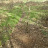 Pobytové znaky zveri 2