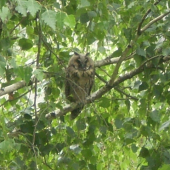 Vie mi niekto pomôcť s identifikáciou??