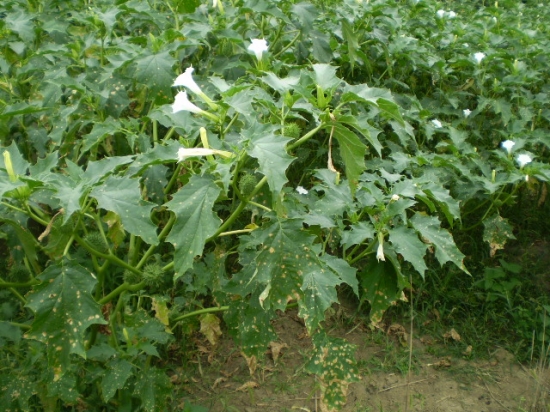 Veci znalí, poraďte