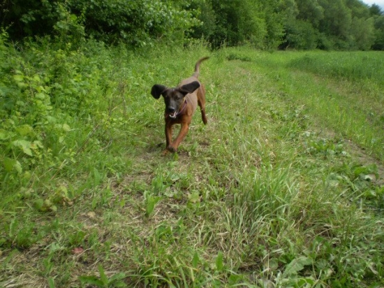 Pršííííí....rýchlo pod stromy