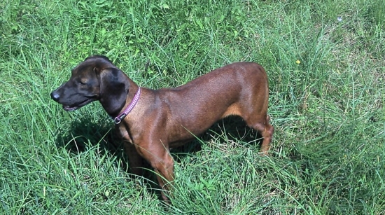 Príprava na výstavu