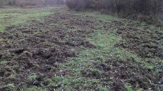 Nechal som si prevzdušniť trávnik