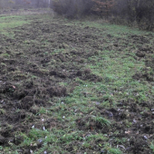 Nechal som si prevzdušniť trávnik