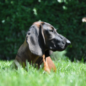 Arka 19.08.2010