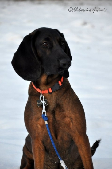 Arka Derava Skala 10,5 mż