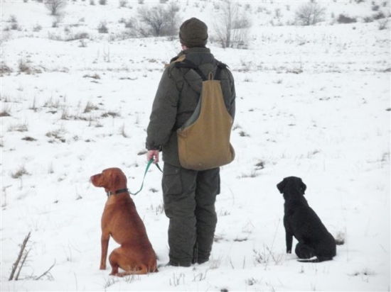 čakanie pred úlohou