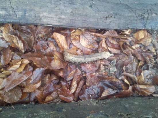 Skoro trojkilový :D