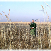 čakanie na bažanta