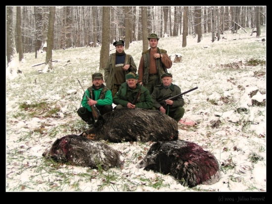 Úspešná poľovačka