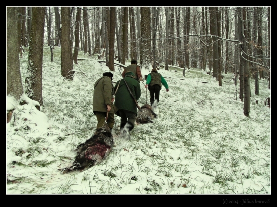 Úspešná poľovačka - transport