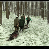 Úspešná poľovačka - transport