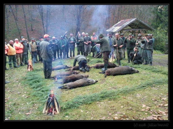 pasovanie za lovca diviakov