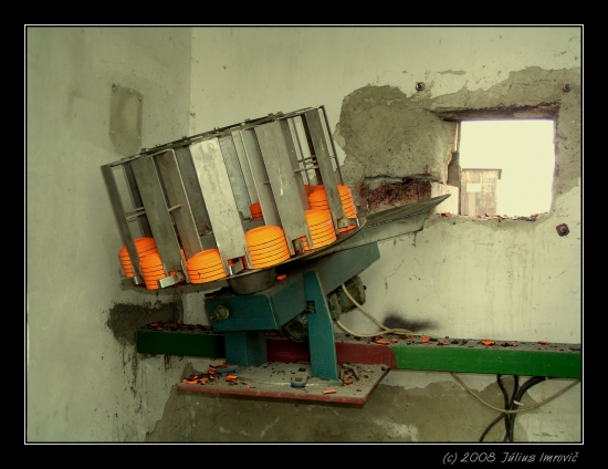 vrhačka asfaltových holubov