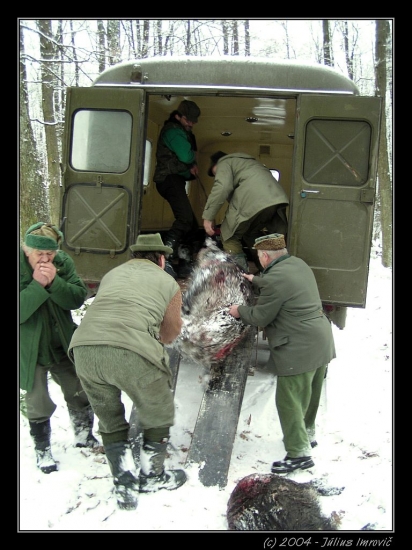transport