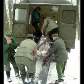 transport