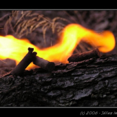 relikvie II. svetovej vojny