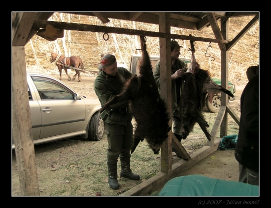 kožuchy dole, páni