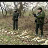 záverečné zhodnotenie