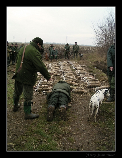 pasovanie za strelca 