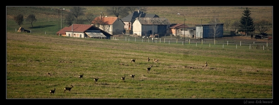 zrkadielka