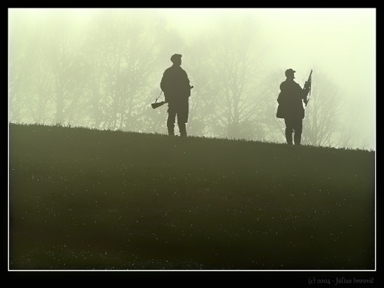 siluety v rannej rose