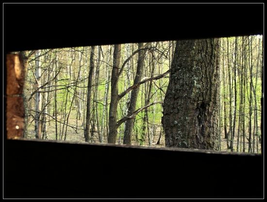 širokouhlý pohľad z krytu