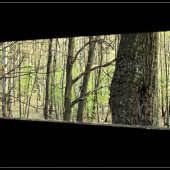 širokouhlý pohľad z krytu