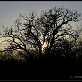 augustový západ slnka