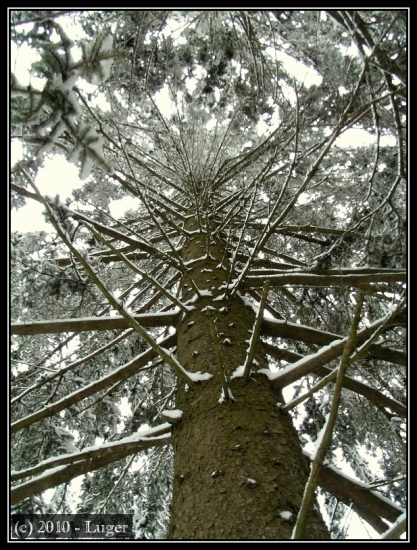 .. a kde je Popelka?