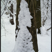 ..čo Vám to pripomína?