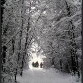 prestávka po pohone