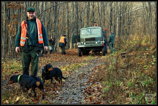 presun medzi pohonmi
