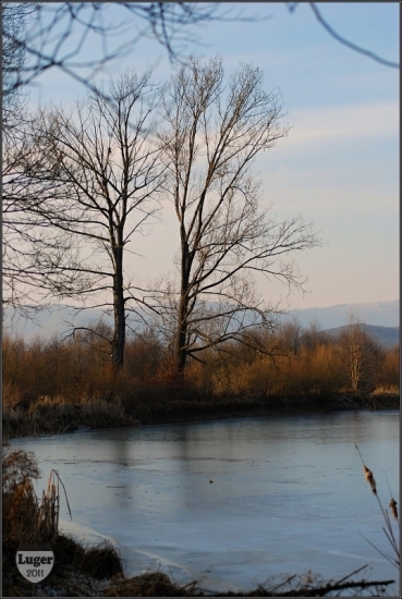 Rybník