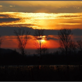 podvečer na rybníku