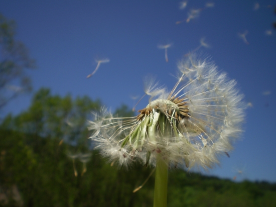 Fúúúúúúúúúúú