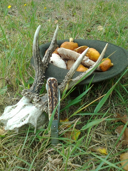 Včera na procházce