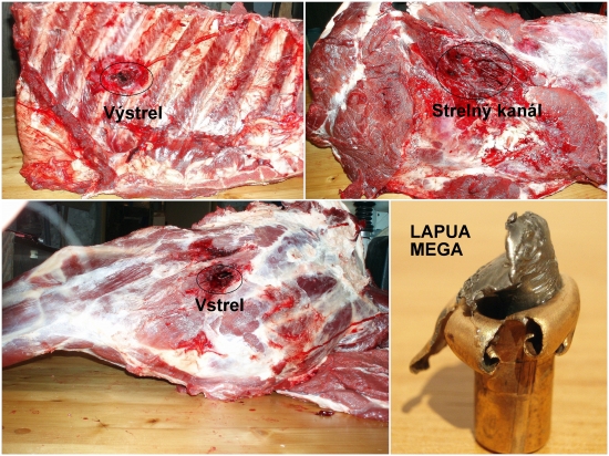 prebíjaný  Lapua Mega 12g  .308 Win.   -  diviak