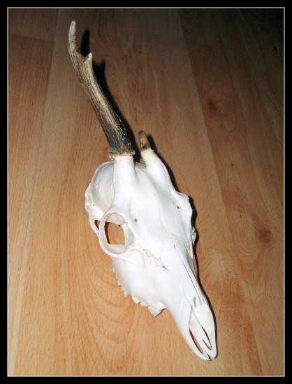 minuloročný