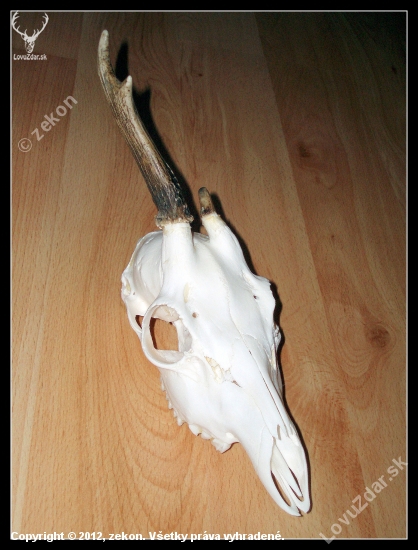 minuloročný