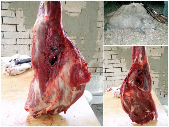 prebíjaný  Lapua Mega 12g    . 308win.   vs. Lanštiak