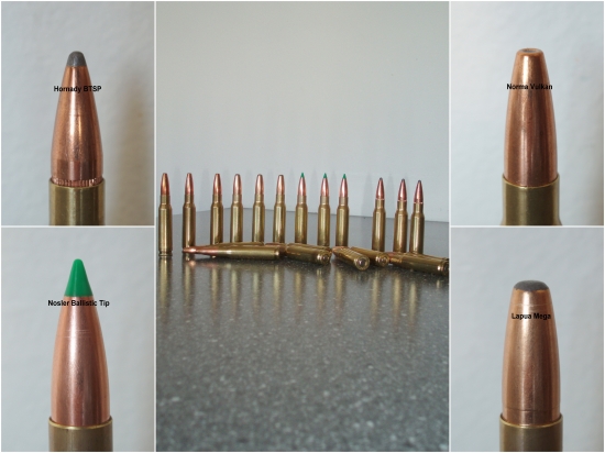 .308 win.  Hornady BTSP; Nosler Ballistic Tip; Norma Vulkan; Lapua Mega