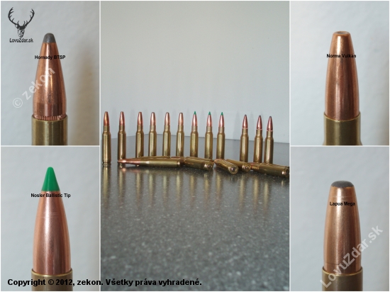 .308 win.  Hornady BTSP; Nosler Ballistic Tip; Norma Vulkan; Lapua Mega